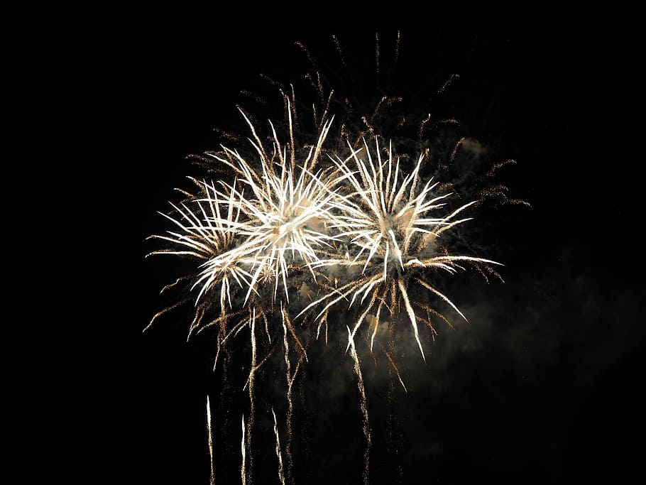 japan, firework, night, light, japanese, exploding, firework display HD wallpaper