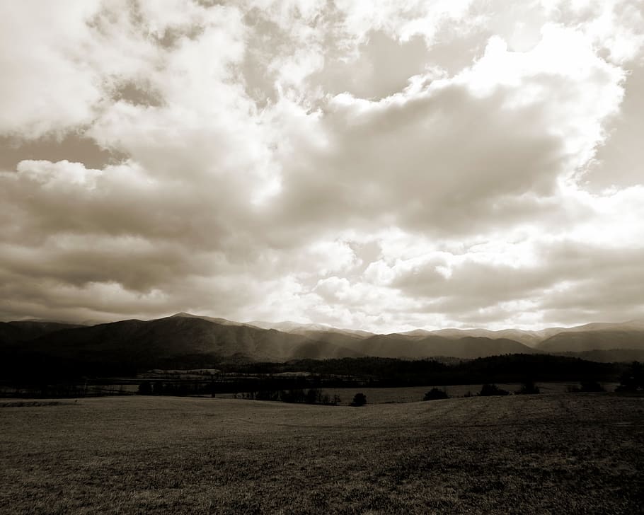 trees, grass, mountain, highland, nature, clouds, sky, landscape HD wallpaper