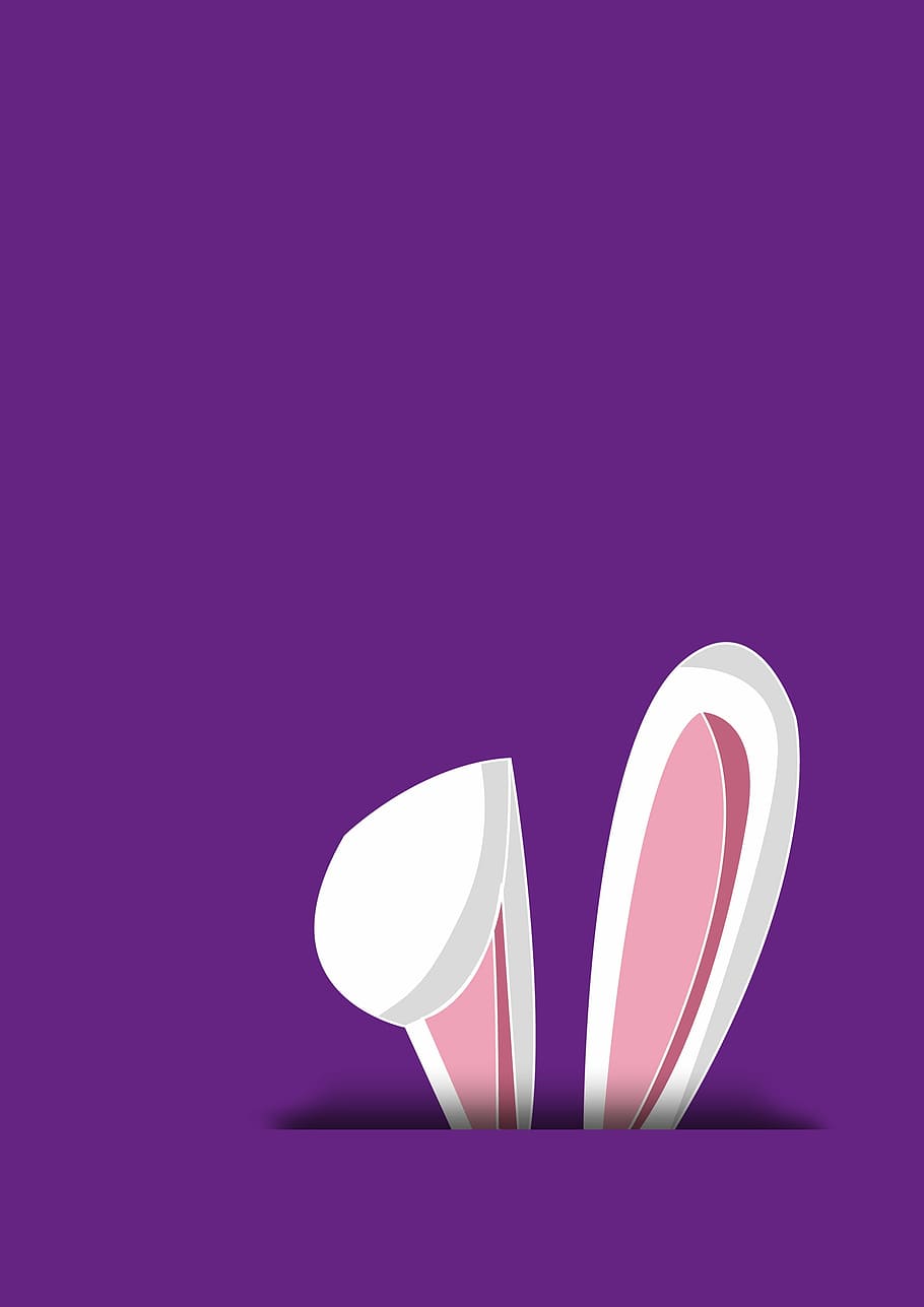 white rabbit illustration, hare, ear, easter, animal, long eared, HD wallpaper