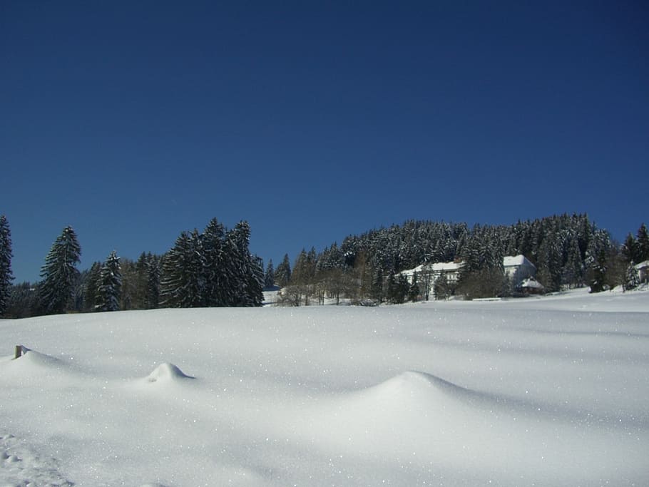 winter, white, blue, snow, sky, firs, health clinic, mittelberg HD wallpaper