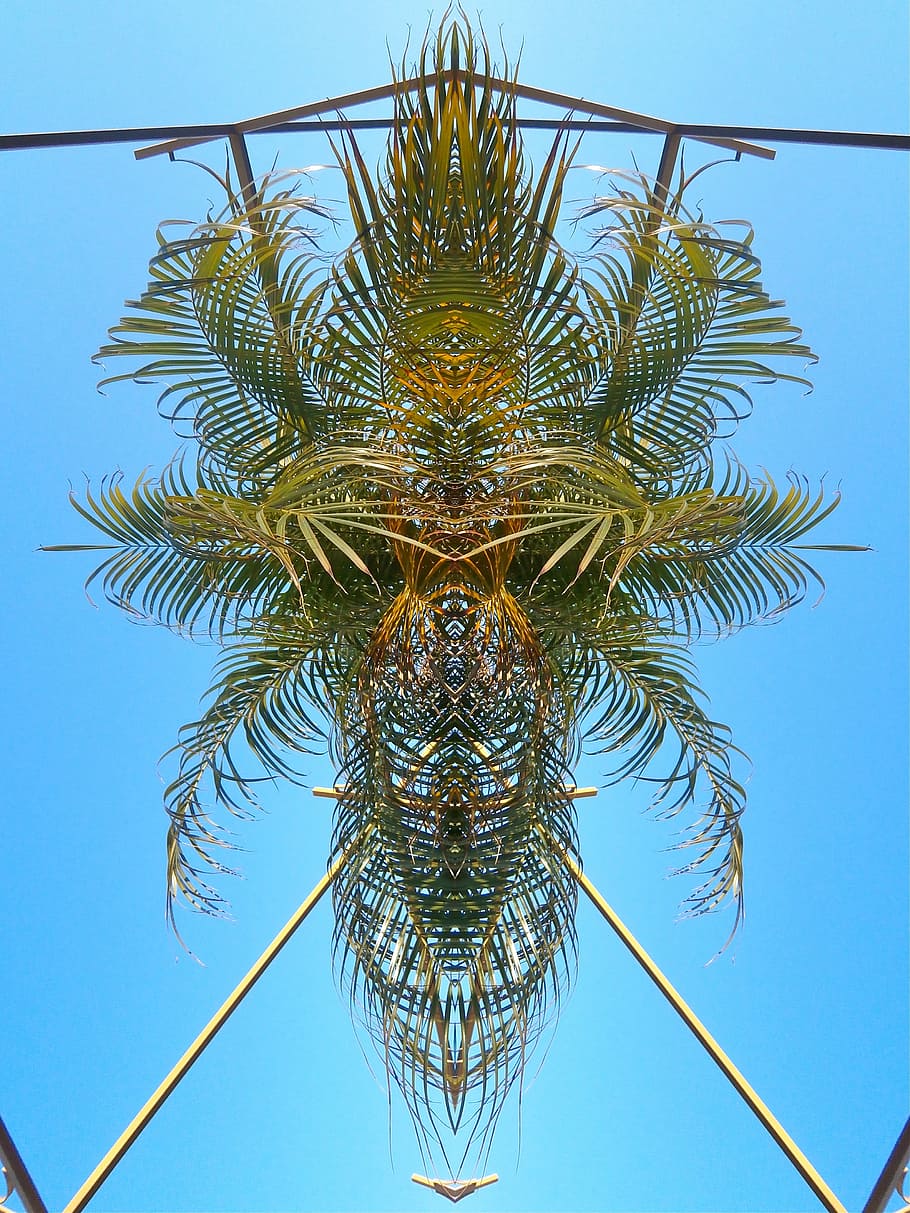 palm, pattern, abstract, contrast, exotic, sky, tropical, architecture HD wallpaper
