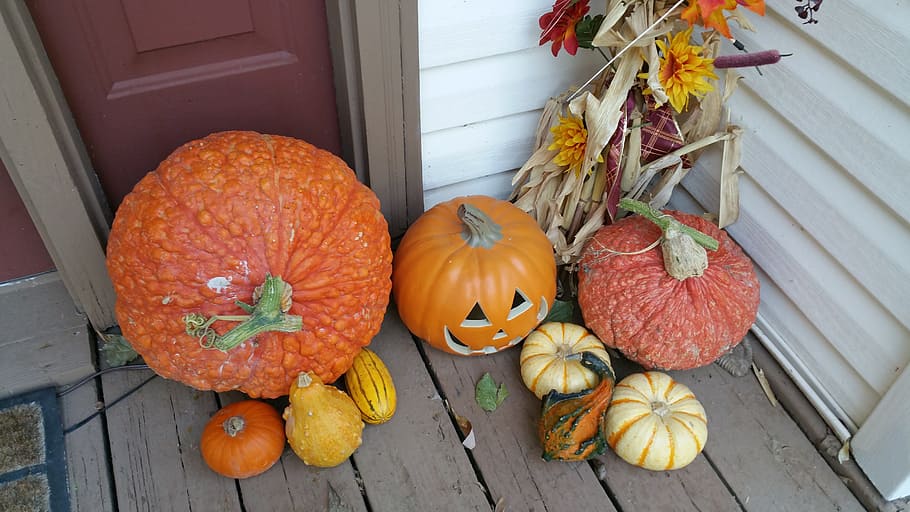 Pumpkins, Fall, Holiday, Season, autumn, harvest, jack-o-lantern HD wallpaper