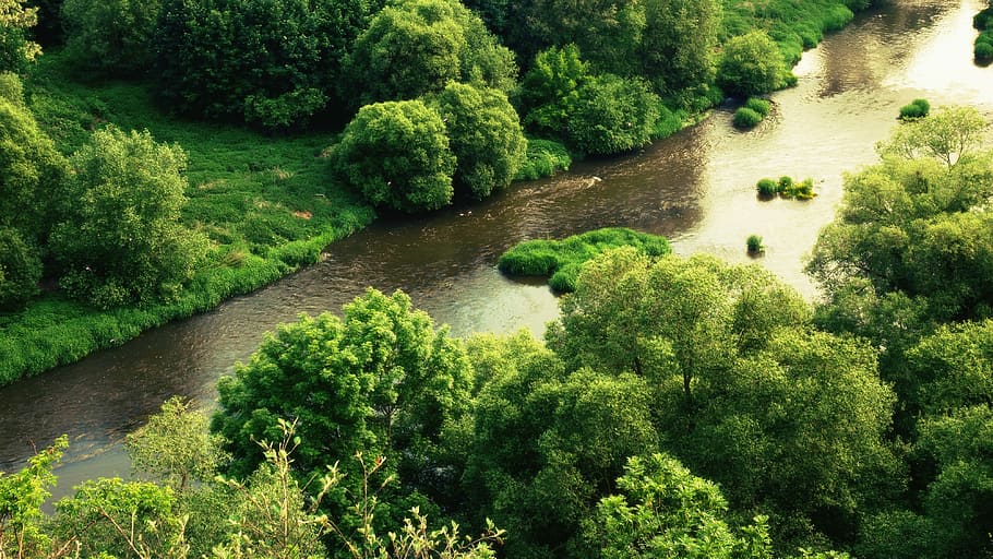 river, forest, tree, trees, meander, water, nature, landscape HD wallpaper
