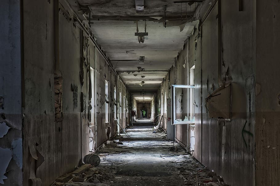 empty wrecked abandoned building hallway, leave, within, architecture