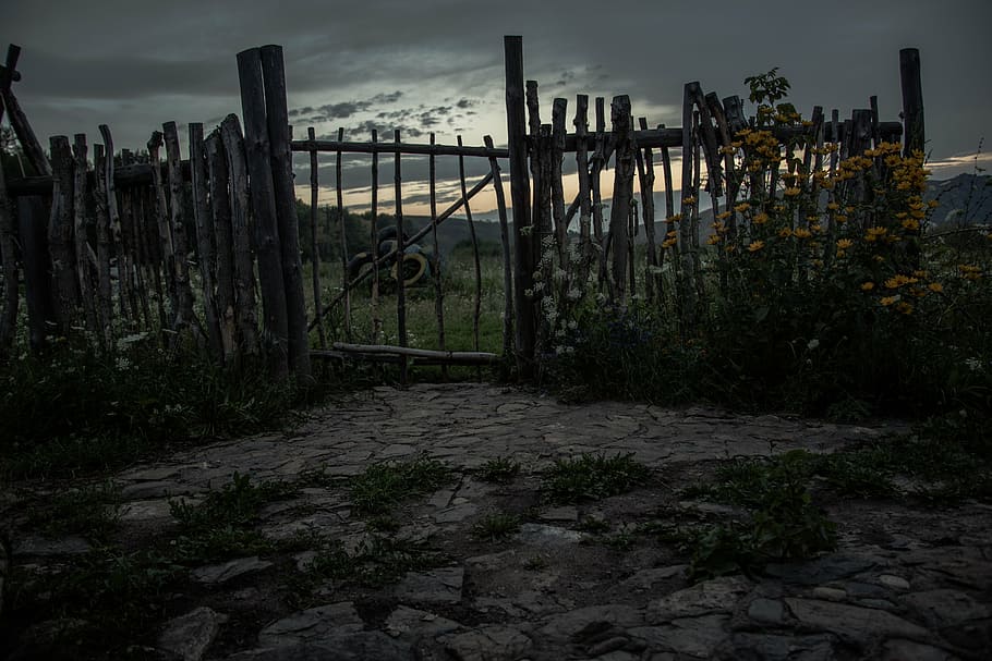 clouds, countryside, dark, dawn, dusk, evening, fence, flowers HD wallpaper