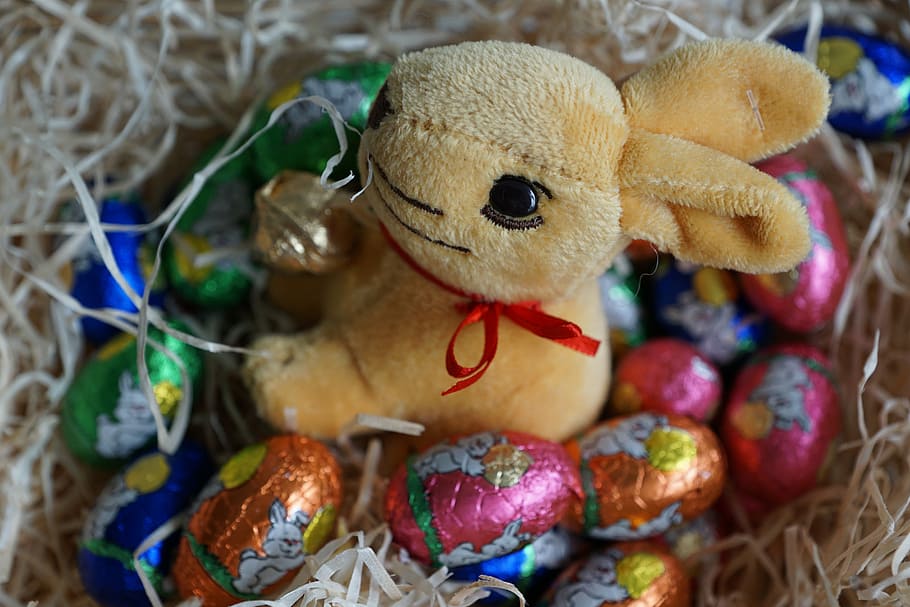 easter, rabbit, egg, festival, chocolate, animal, spring, easter eggs HD wallpaper