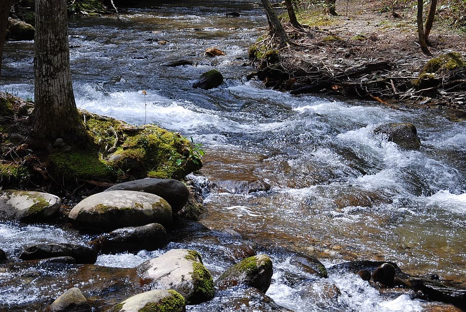 Mountain, Stream, Rock, Wilderness, nature, scenery, river HD wallpaper