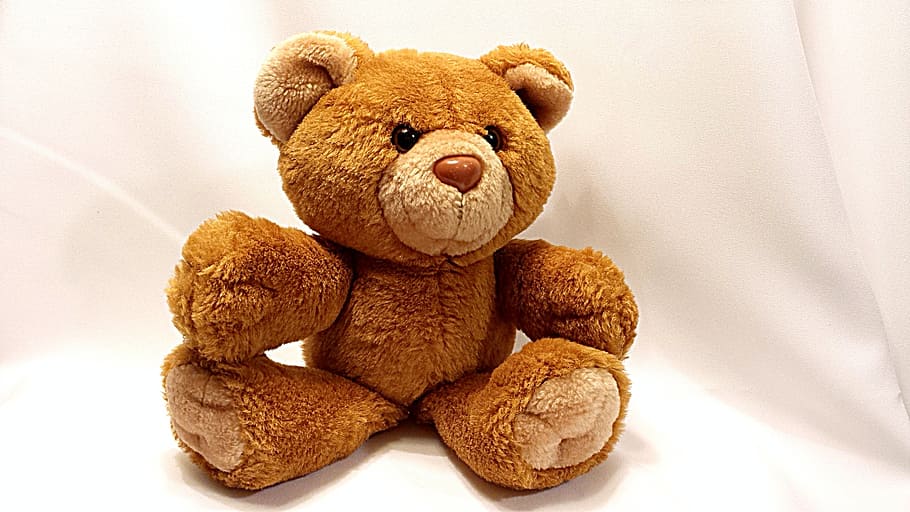 closeup photo of brown bear plush toy on white textile, teddy