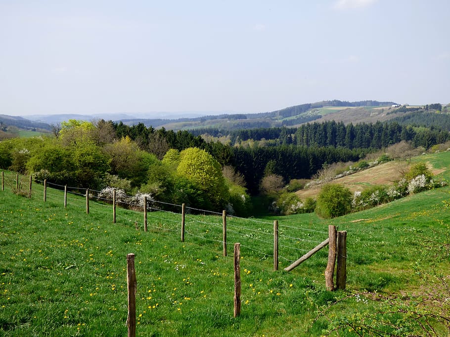 landscape, dal, luxembourg, spring, plant, grass, boundary HD wallpaper