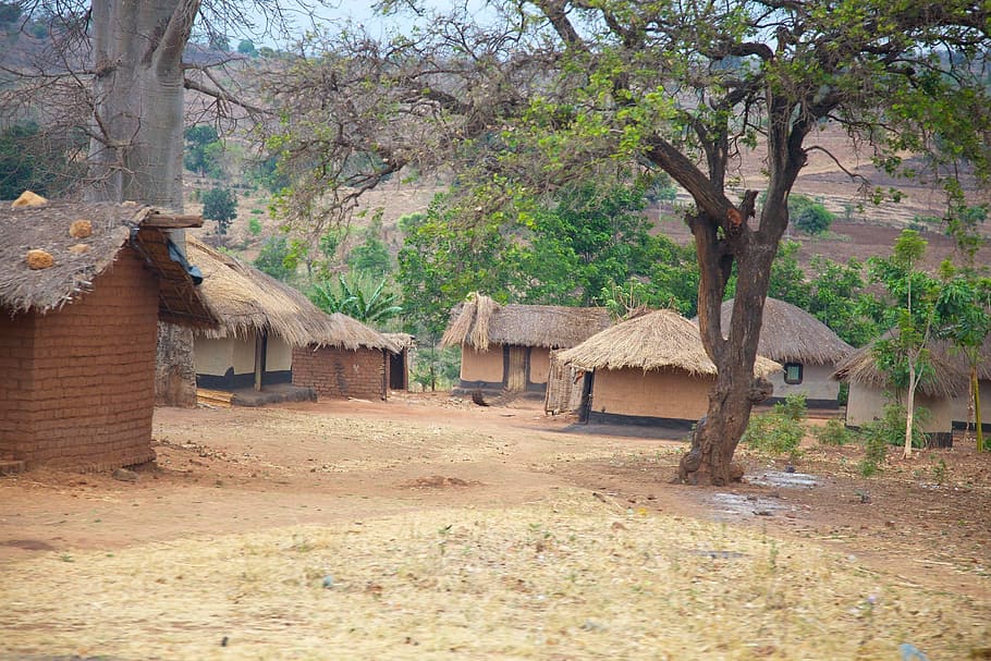 nipa hut village, malawi, africa, huts, homes, thatched, mud