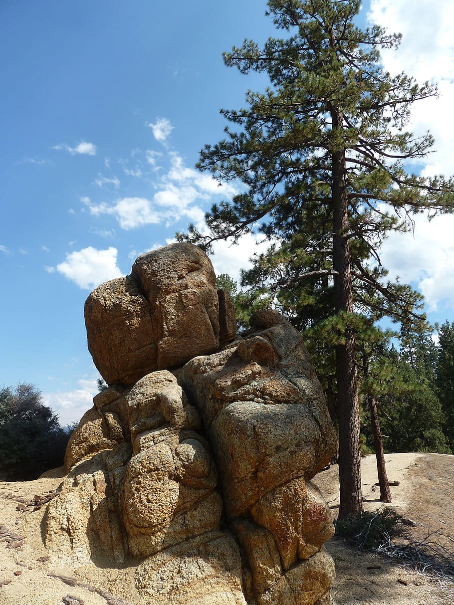 big bear, lake, forest, rocks, rock formation, outdoors, mountains HD wallpaper