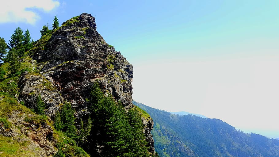 plants growing on rock, mountain, rocks, nature, sky, landscape HD wallpaper
