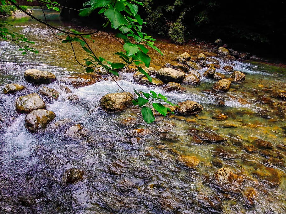 the scenery, views, nature, stream, forest, river, outdoors HD wallpaper