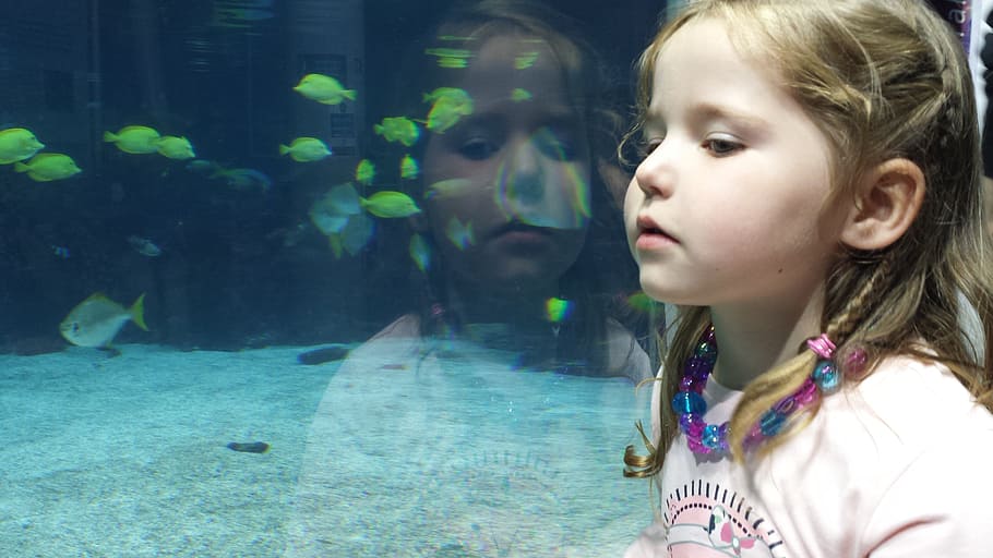 girl in pink shirt near aquarium, child, fish, reflection, aquariam HD wallpaper