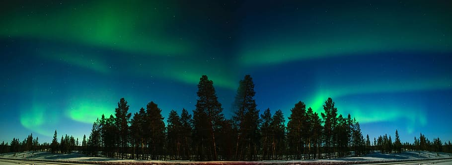 northern lights above trees panorama photography, aurora, finland, HD wallpaper