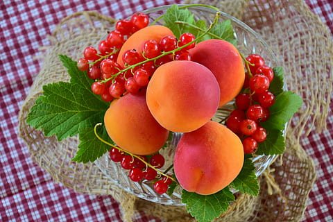peach fruit on glass bowl, apricots, currants, stone fruit HD wallpaper