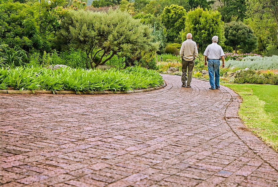 two men walking on concrete pavement near green plants, old friends, HD wallpaper