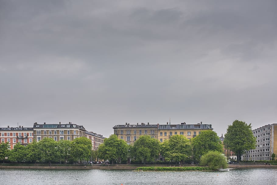 landscape photography of green trees, city buildings with surrounding trees HD wallpaper