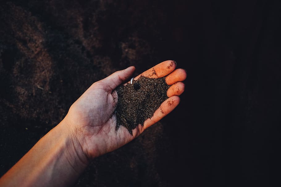 Coffe Sand, person holding black sands, soil, hand, finger, dirt