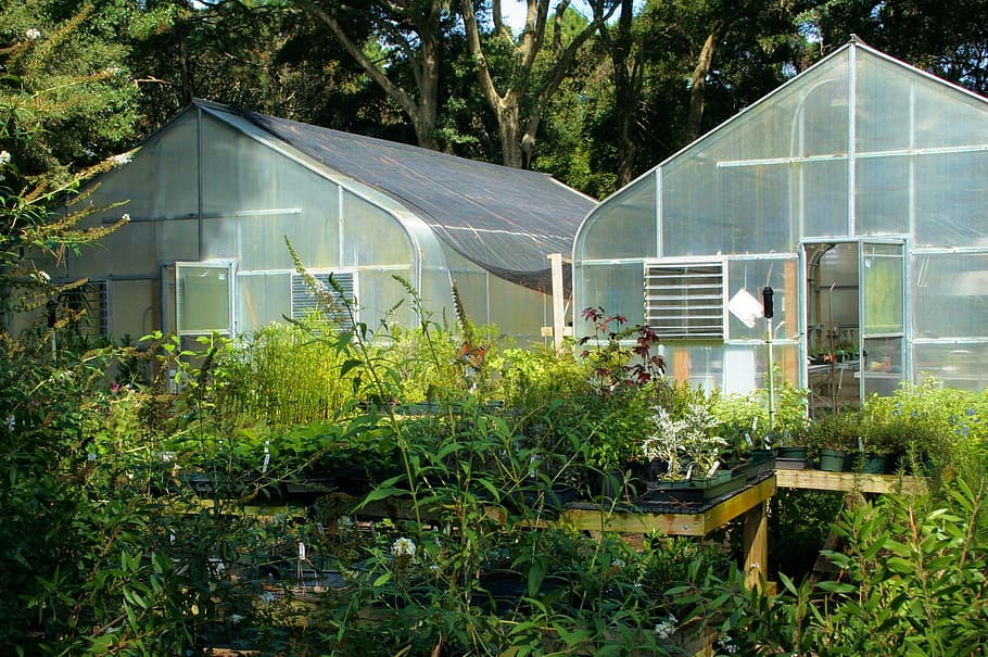 greenhouse-glass-buildings-plants.jpg