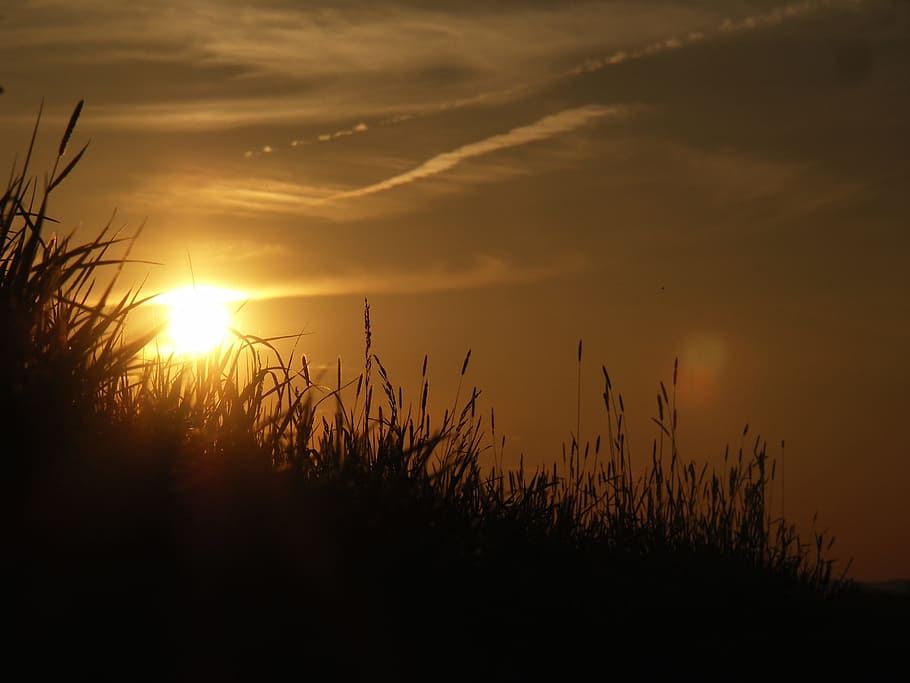 Sunset, Mood, Clouds, Field, nature, dusk, sky, silhouette HD wallpaper