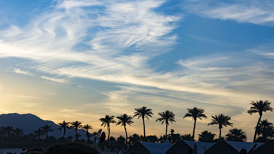 Coachella Background Images - Free Download on Freepik