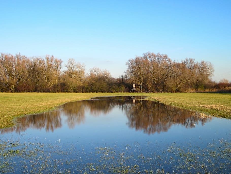 Germany, Trees, Fall, Lake, sky, autumn, reflections, country HD wallpaper