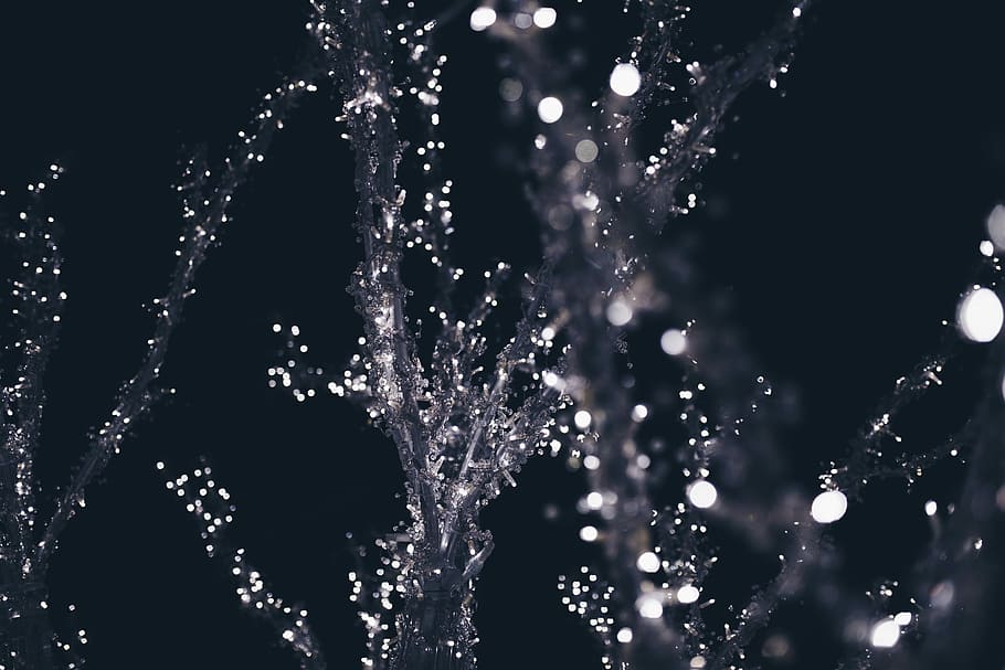 string lights on tree during night time, selective focus photograph of water splash HD wallpaper