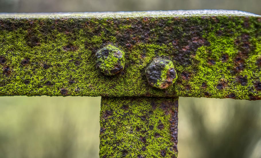 railing, bridge, rusty, old broken, moss, grass, green, leave HD wallpaper