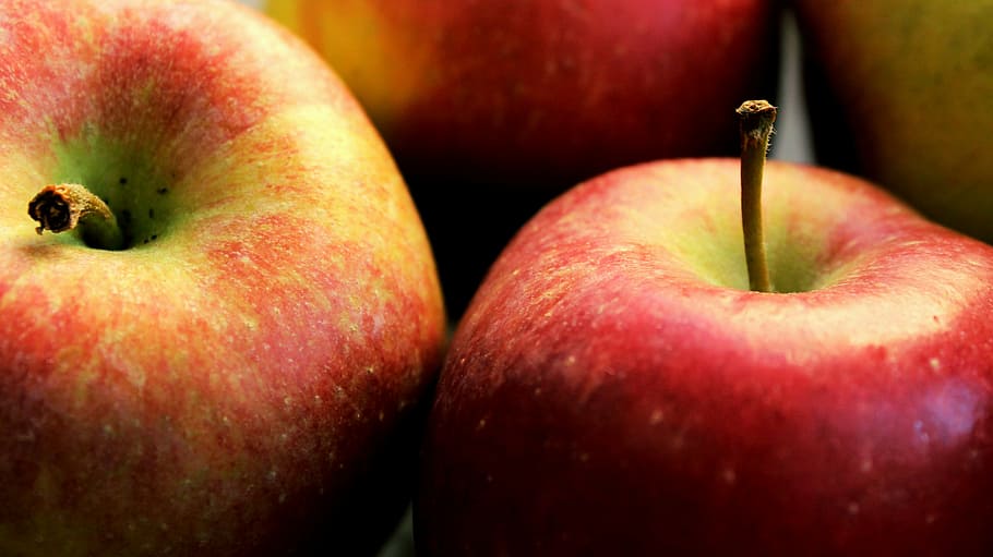 close-up photo of four honeycrisp apples, red, fruit, eat, cultivation HD wallpaper