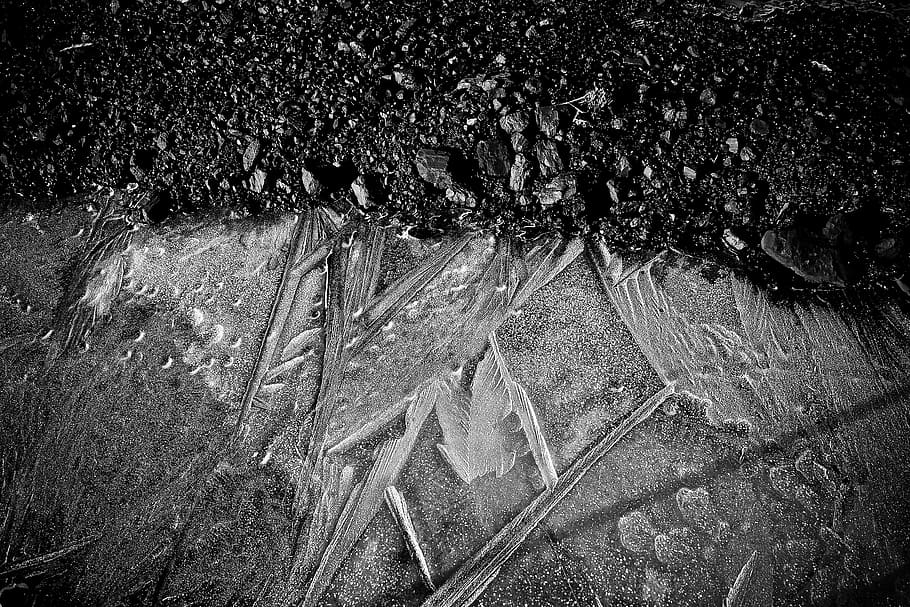 ice, frozen, winter, cold, frost, structure, lines, background HD wallpaper
