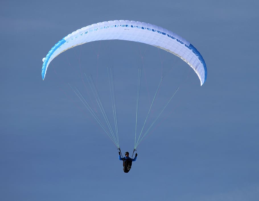 paraglider, fly, sky, blue, paragliding, floating sailing, air sports HD wallpaper