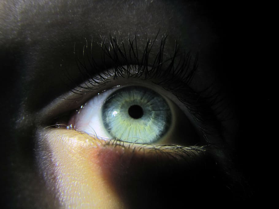 right human eye, szupermakró, macro, iris, watch, eyelash HD wallpaper