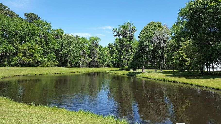 Water, Sky, Trees, reflection, nature, no people, green color HD wallpaper