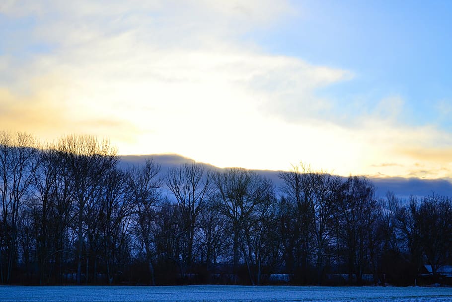 blue, sunbeam, dazzle, clouds, sky, morning, in the early morning HD wallpaper