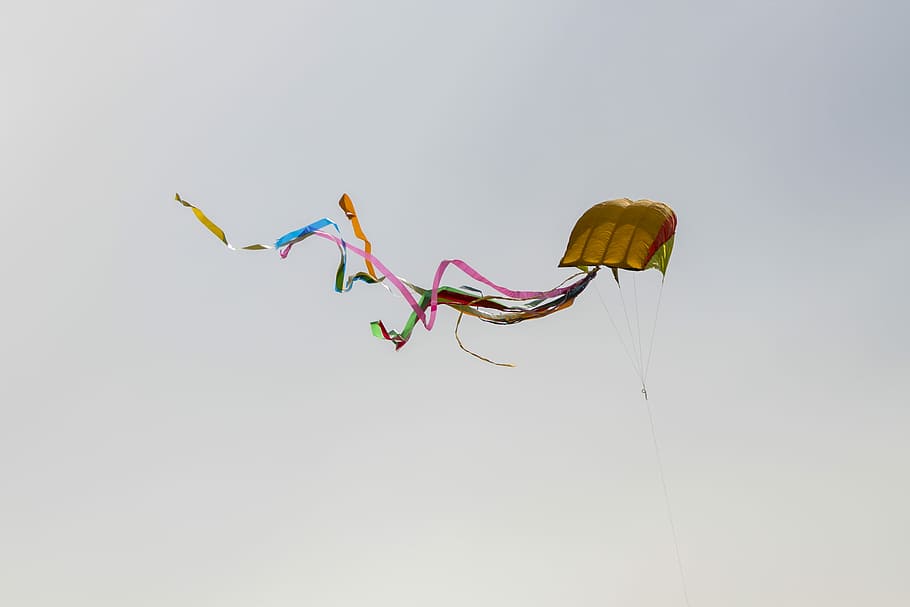 dragons, dragon fly, sky, flight, multi colored, flying, mid-air HD wallpaper