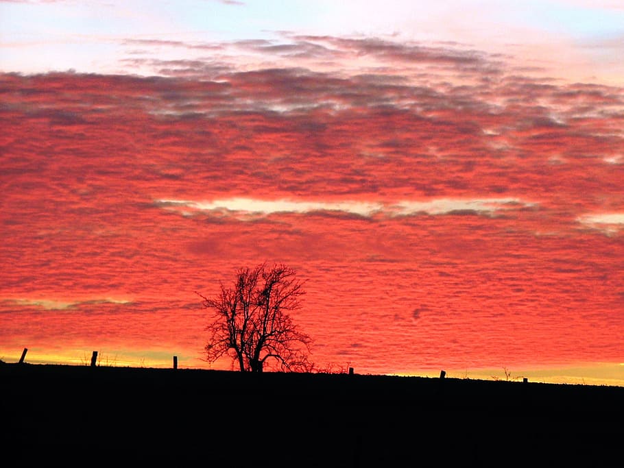 evening, red, sunset, mood, dusk, clouds, sky, afterglow, evening sky HD wallpaper