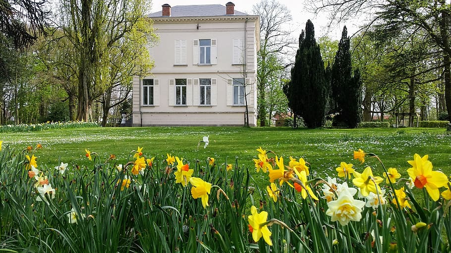 Antwerp, Ekeren, Bist, Flowers, park, house, facade, sunny belgium HD wallpaper