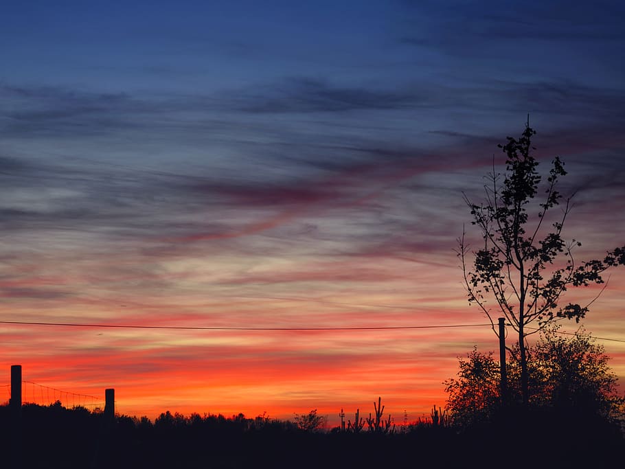 evening, sunset, afterglow, sky, silhouette, cloud - sky, beauty in nature HD wallpaper