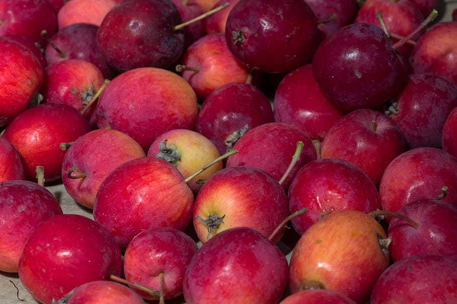 fruit, apple, red, autumn, red apple, fruits, market stall HD wallpaper