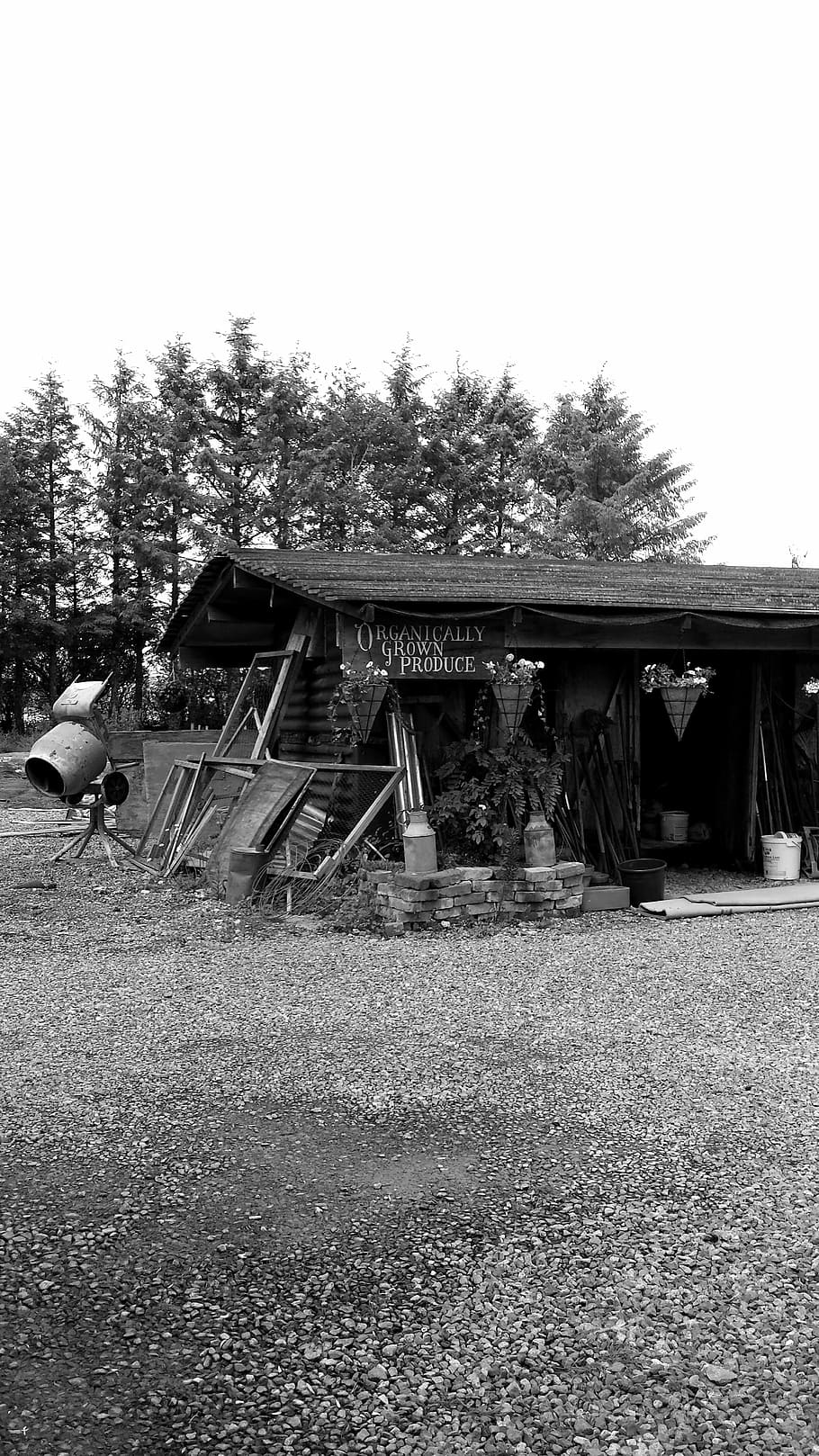gardening, tenby, sepia, plant nursery, black And White, people