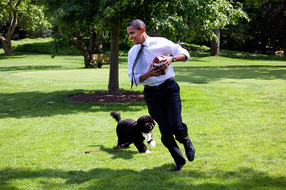 Barrack Obama photography, barack obama and bo, 2009, play, run