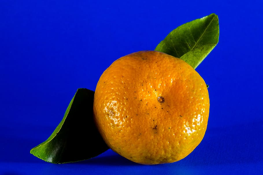 orange, mandarin, citrus fruit, food and drink, healthy eating HD wallpaper