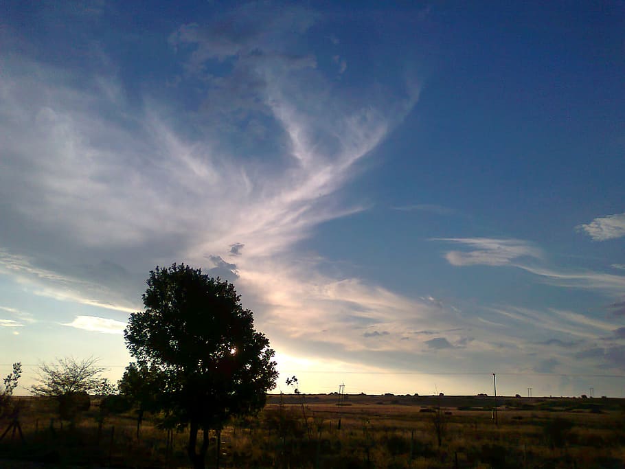 landscape, tree, sky, nature, green, blue, rural, cloud, countryside HD wallpaper