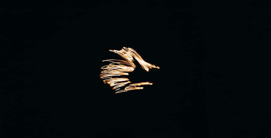 brown artwork, night, dark, black, lines, lights, nature, studio shot HD wallpaper