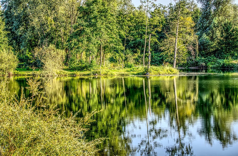water, lake, mirroring, reflection, nature, summer, landscape HD wallpaper