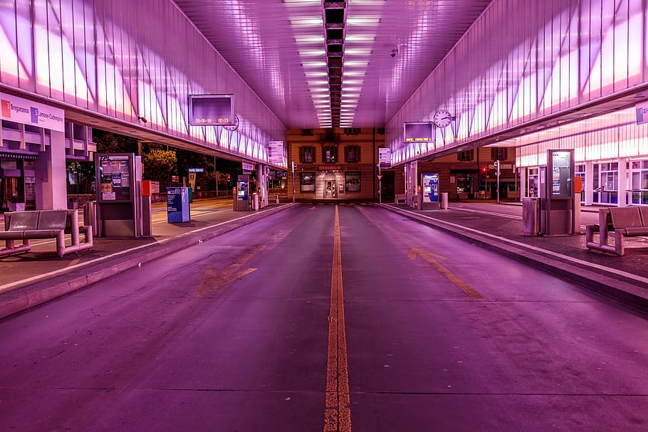 purple, store, waiting, area, structure, street, shop, bench HD wallpaper