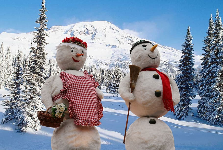 photography of snowmen ornaments, winter, wintry, winter forest HD wallpaper