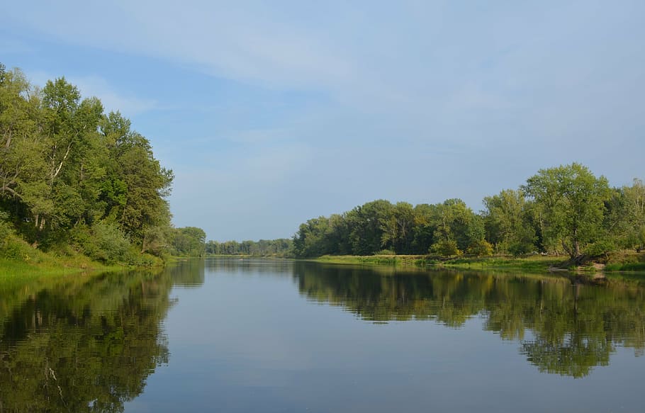 river, forest, nature, samara, summer, water, reflection, tree HD wallpaper