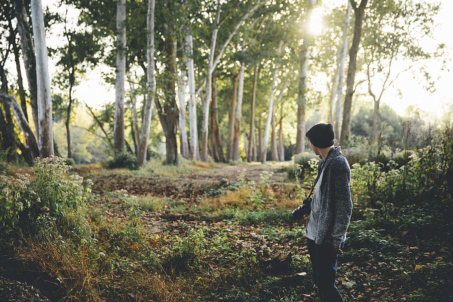 nature, landscape, trees, green, leaves, people, man, travel HD wallpaper